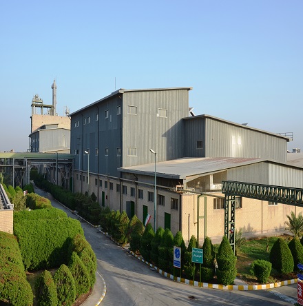 معرفی شرکت